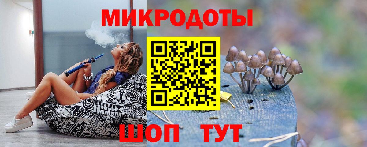 Псилоцибиновые грибы мицелий  Вход с VPN  Шадринск  Псилоцибиновые грибы Magic Shrooms 